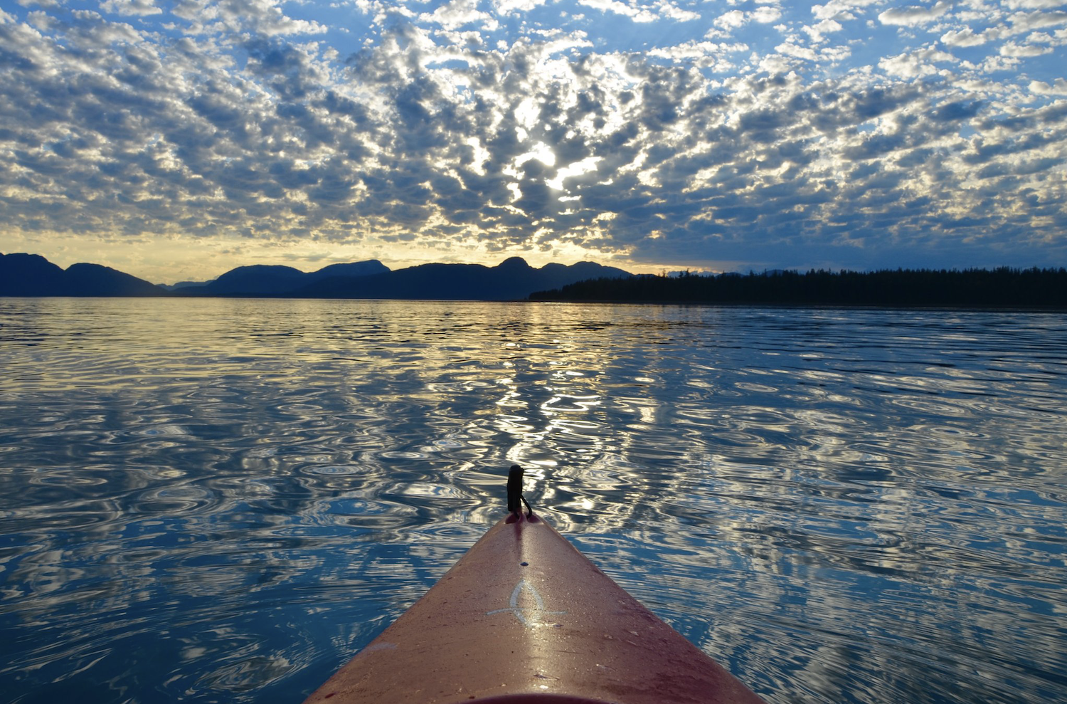 Sea kayaking Glacier Bay National Park and Preserve/NPS file