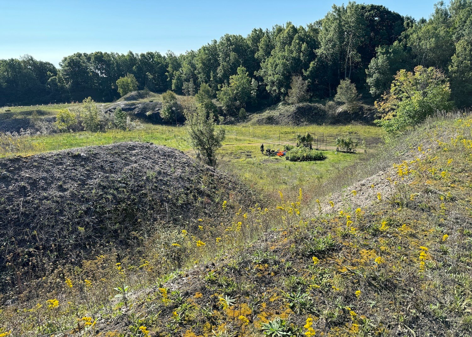 The former Hill Island quarry is starting to show signs of life as 18,000 trees are planted in it at Thousand Islands National Park.