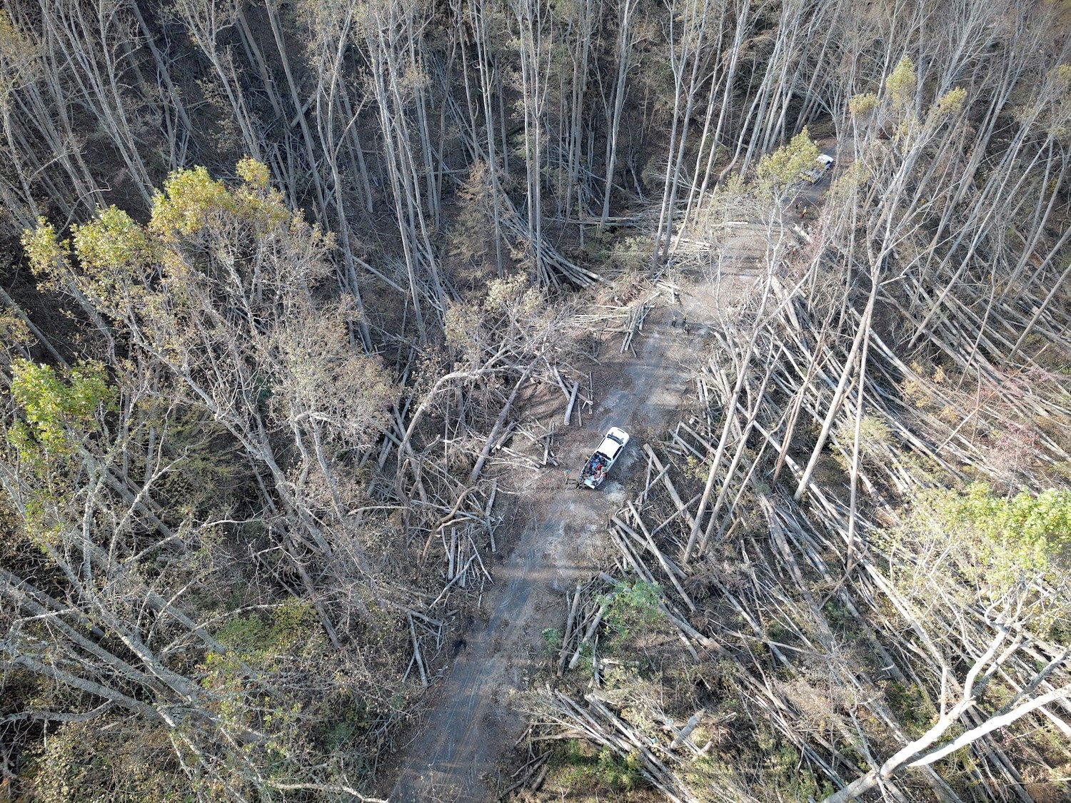 National Park Service saw crews spent weeks clearing trees downed on the Blue Ridge Parkway by Hurricane Helene/NPS