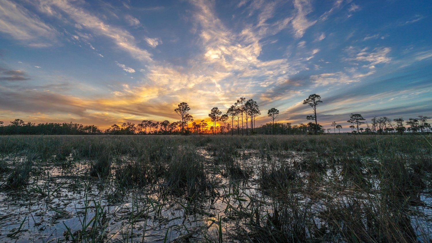 Big Cypress National Preserve/NPS