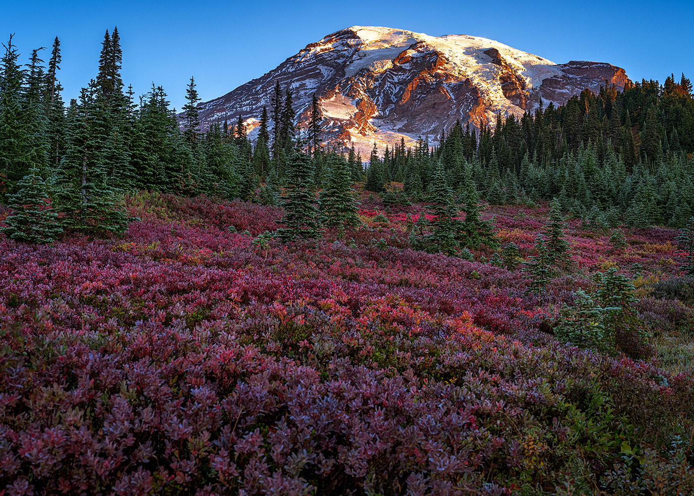 Photographing Fall Foliage in Mount Rainier National Park