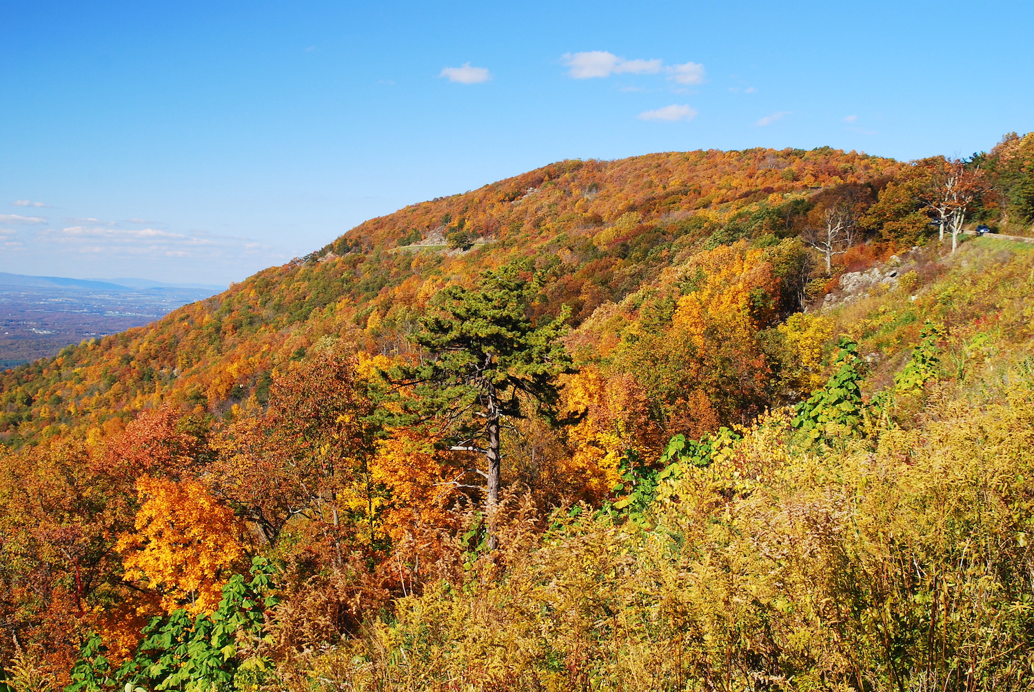 Shenandoah National Park's Webcams Offer Kaleidoscopic Views Of The ...