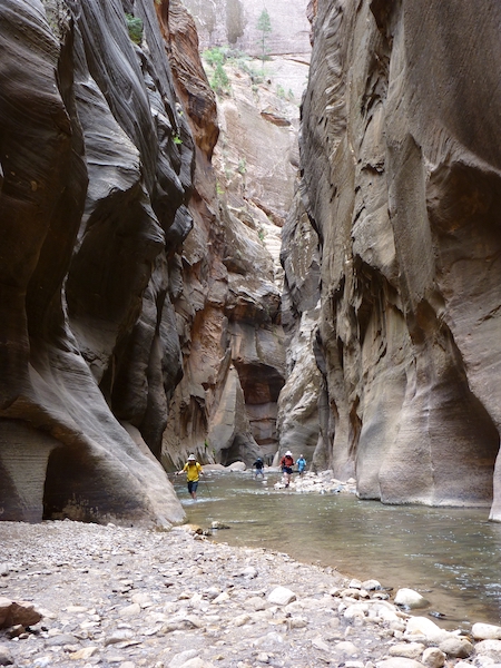 Solo Canyoneer Killed At Zion National Park