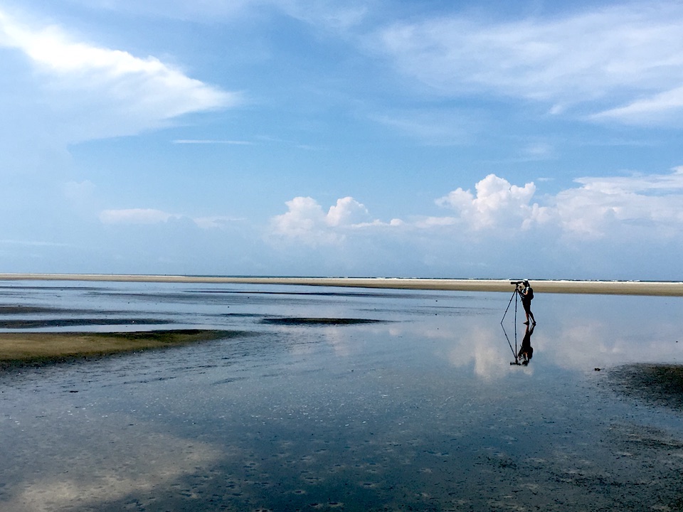 Researchers from Virginia Tech University detected the greatest concentration of migrating piping plovers ever at Cape Hatteras National Seashore/Chelsea Weitham