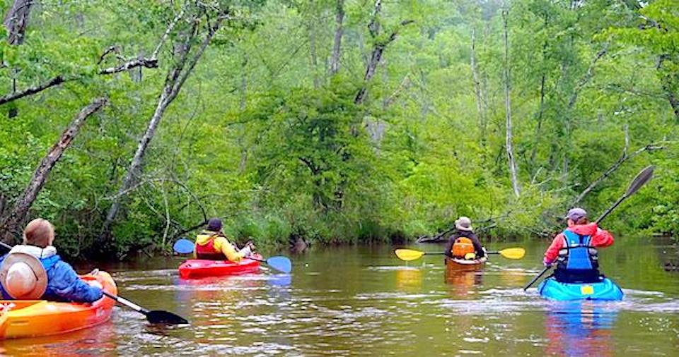 It's possible that Captain John Smith followed this creek, Cat Point, to the Rappahannock River in 1608/Kurt Repanshek