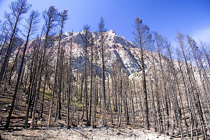 Reynolds Creek Fire, Glacier National Park/George Miller