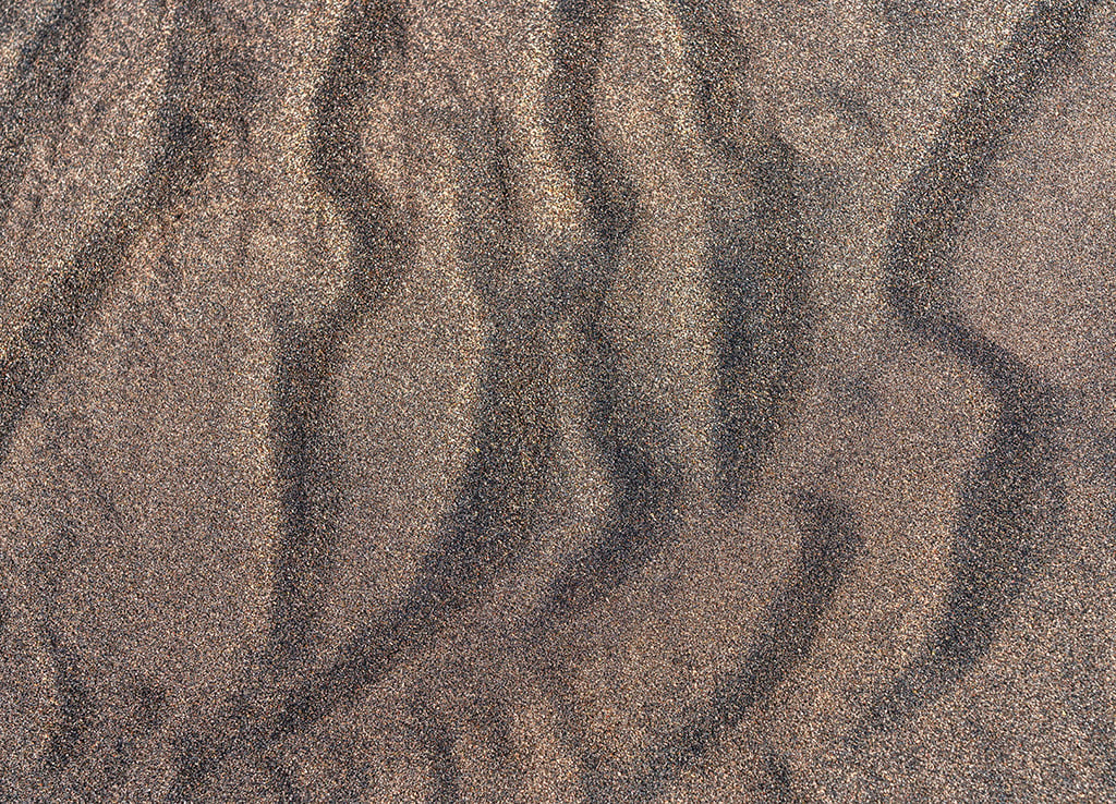 Ripples in the sand, Great Sand Dunes National Park and Preserve / Rebecca Latson Ripples in the sand, Great Sand Dunes National Park and Preserve / Rebecca Latson