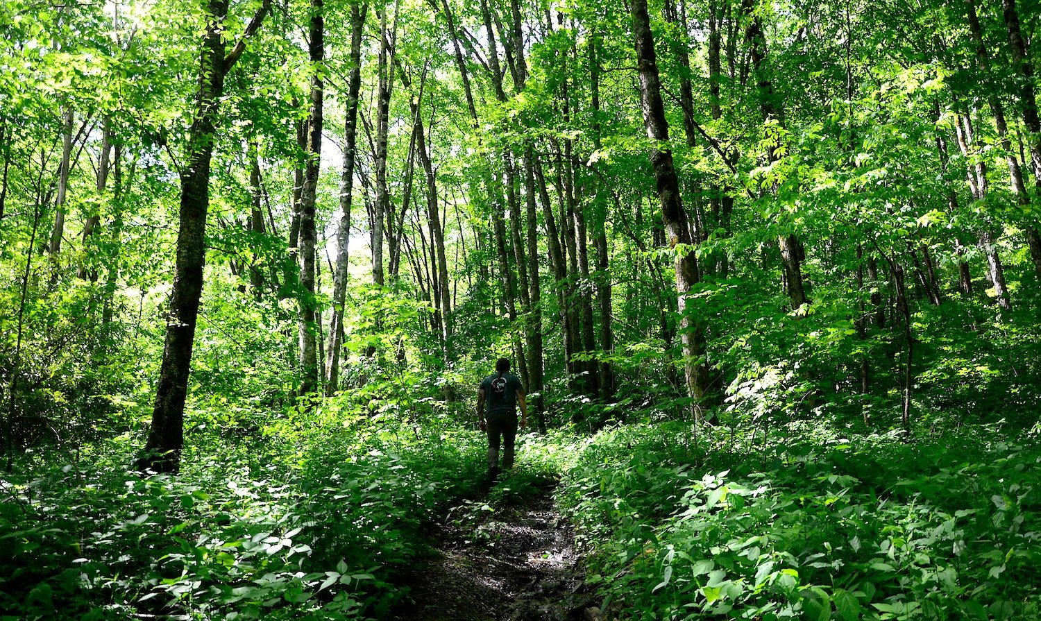 Chimney Tops Trail, Great Smoky Mountains National Park/Smokies Life