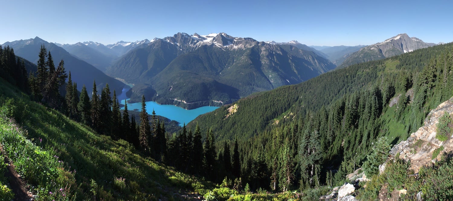 Remote and rugged, the North Cascades Ecosystem is considered great habitat for grizzly bears/NPS file, Michael Silverman