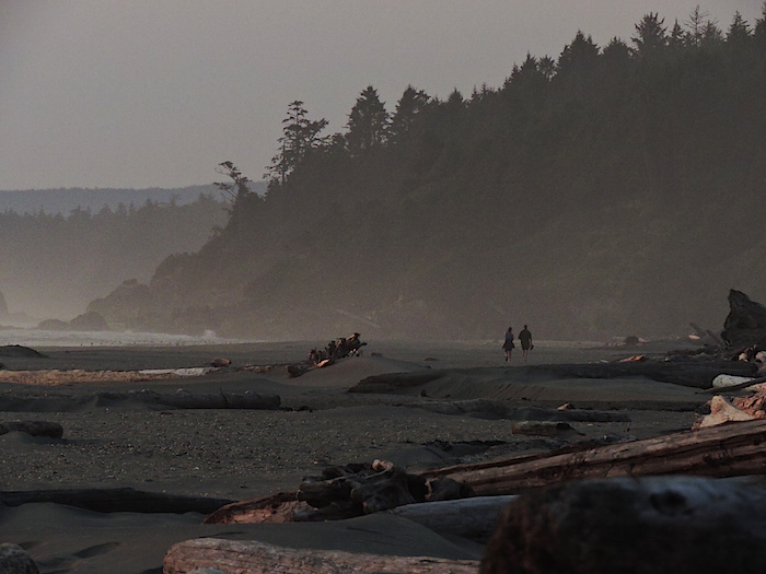 Kalaloch beach at Olympic National Park/Lee Dalton