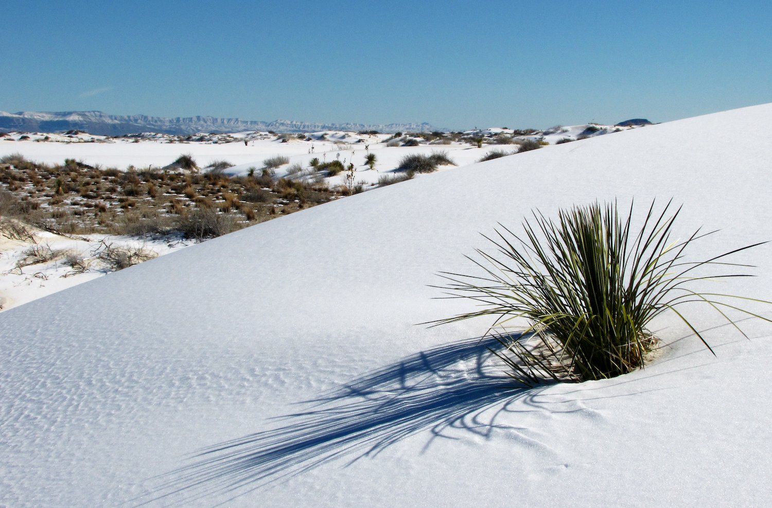 Hotter, drier weather could lead to White Sands National Park's brilliant sands literally blowing away as the lack of moisture makes the granules more susceptible to winds/NPS file