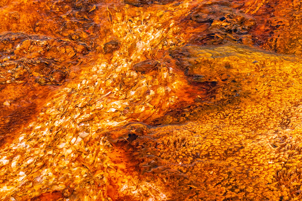 Bacterial abstract, Yellowstone National Park / Rebecca Latson Bacterial abstract, Yellowstone National Park / Rebecca Latson