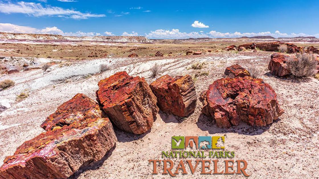 National Parks Traveler Podcast Episode 222 Image