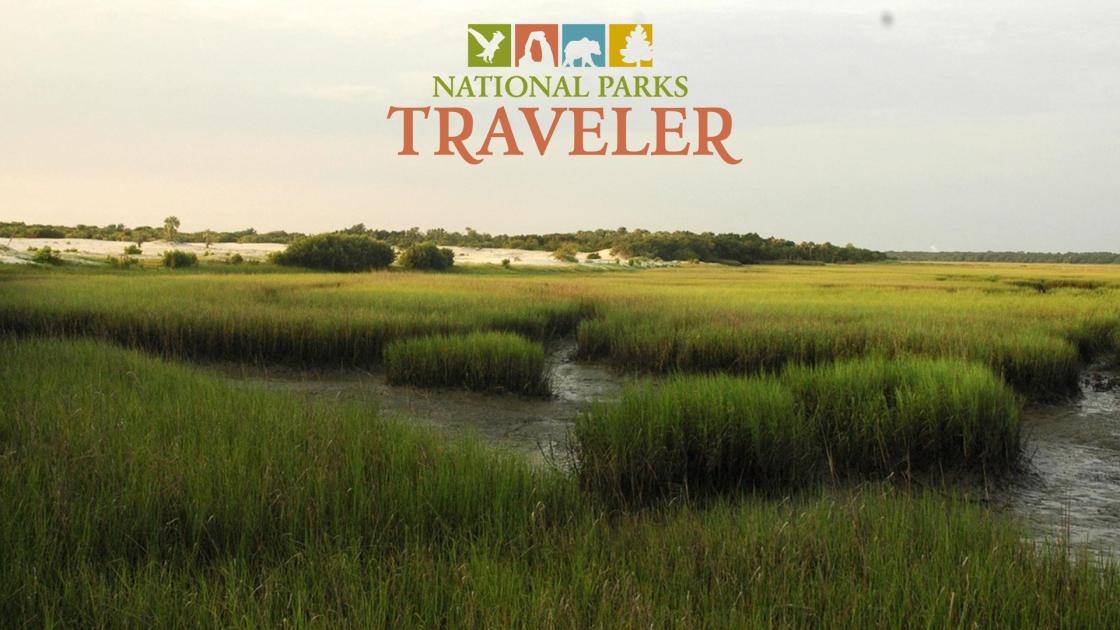 Salt marsh at Cumberland Island National Seashore. NPS Photo.