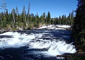 Bechler River Fly Fishing in Yellowstone National Park