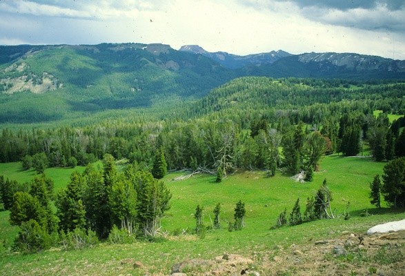 Big Creek headwaters, Gallatin Range, Montana © George Wuerthner