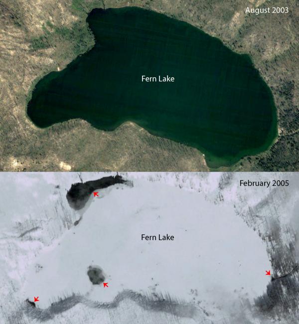 Fern Lake, Yellowstone National Park, in different seasons