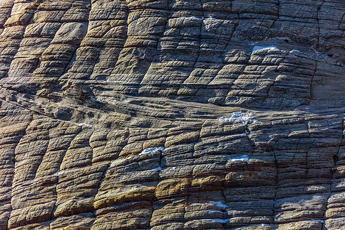 A close-up of cross beds and weathered joints in Checkerboard Mesa, Zion National Park / Rebecca Latson