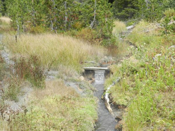 Weir on a tributary flowing into Boundary Creek in southwest Yellowstone National Park