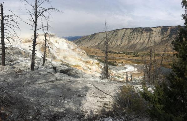 Angel Terrace, Mammoth Hot Springs, Yellowstone National Park