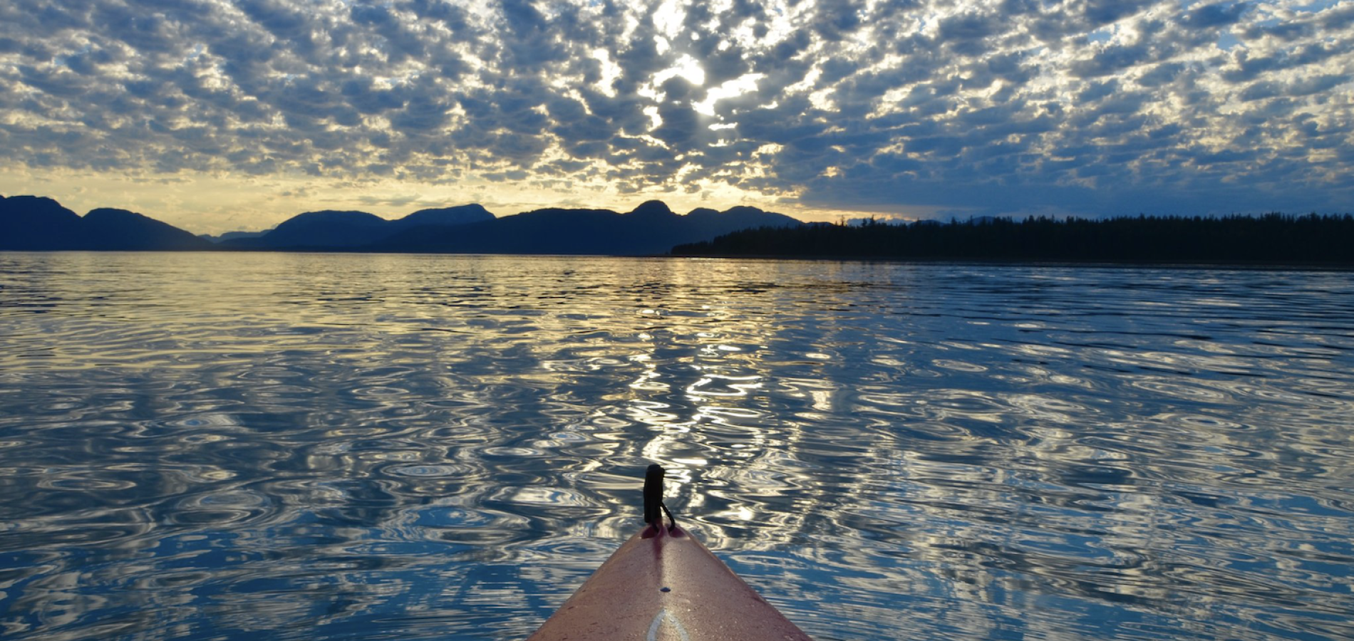 Sea kayaking Glacier Bay National Park and Preserve/NPS file