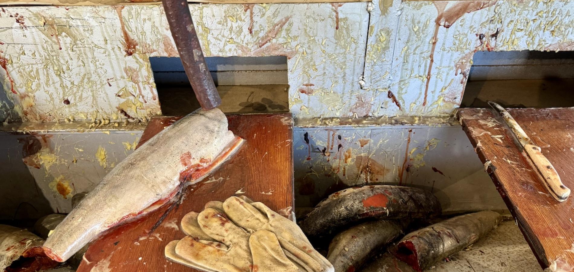 At the "sliming table" at what was once the Gulf of Georgia Cannery, workers (mainly Indigenous women) washed fish and removed scales by hand.