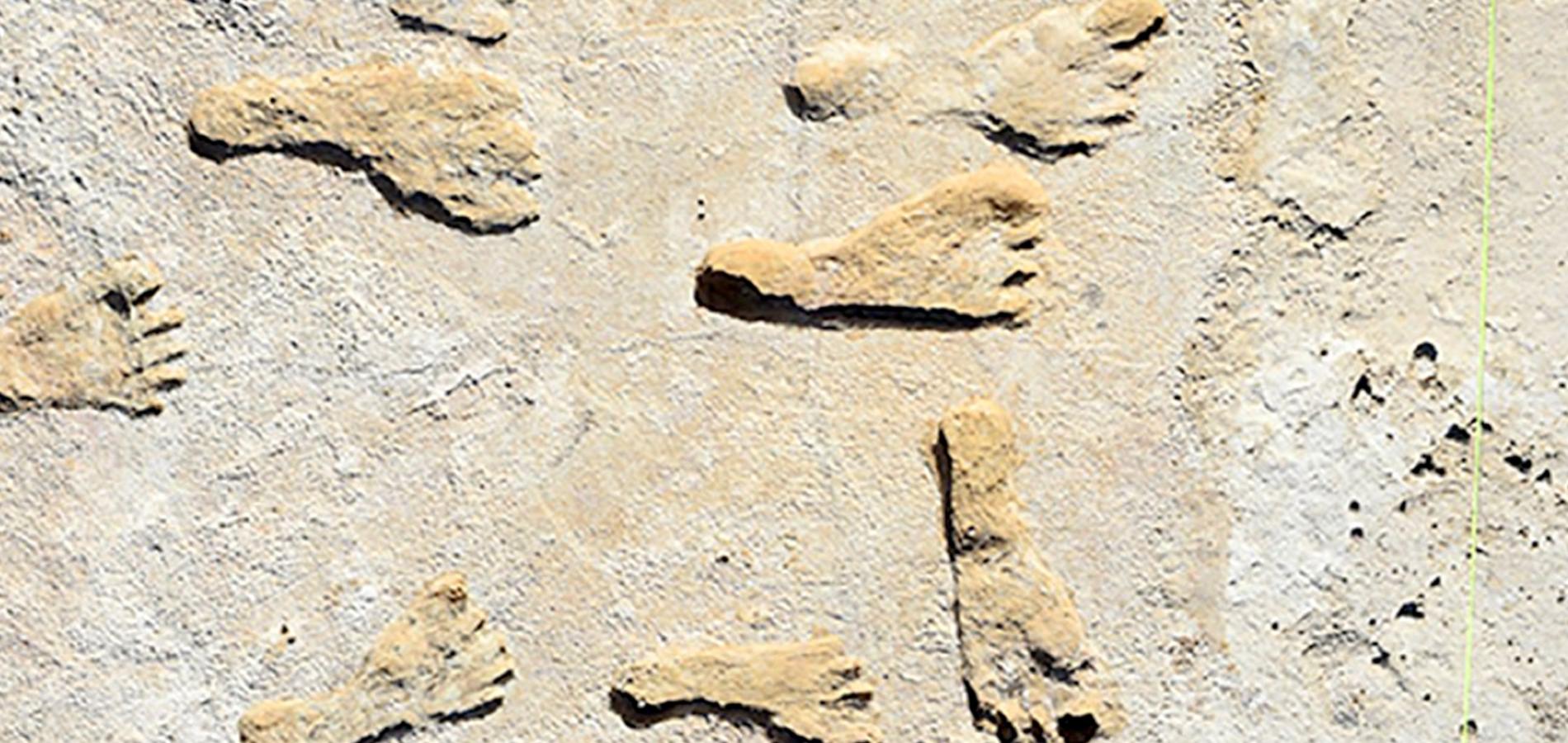 The National Park System harbors an incredible collection of fossils/USGS