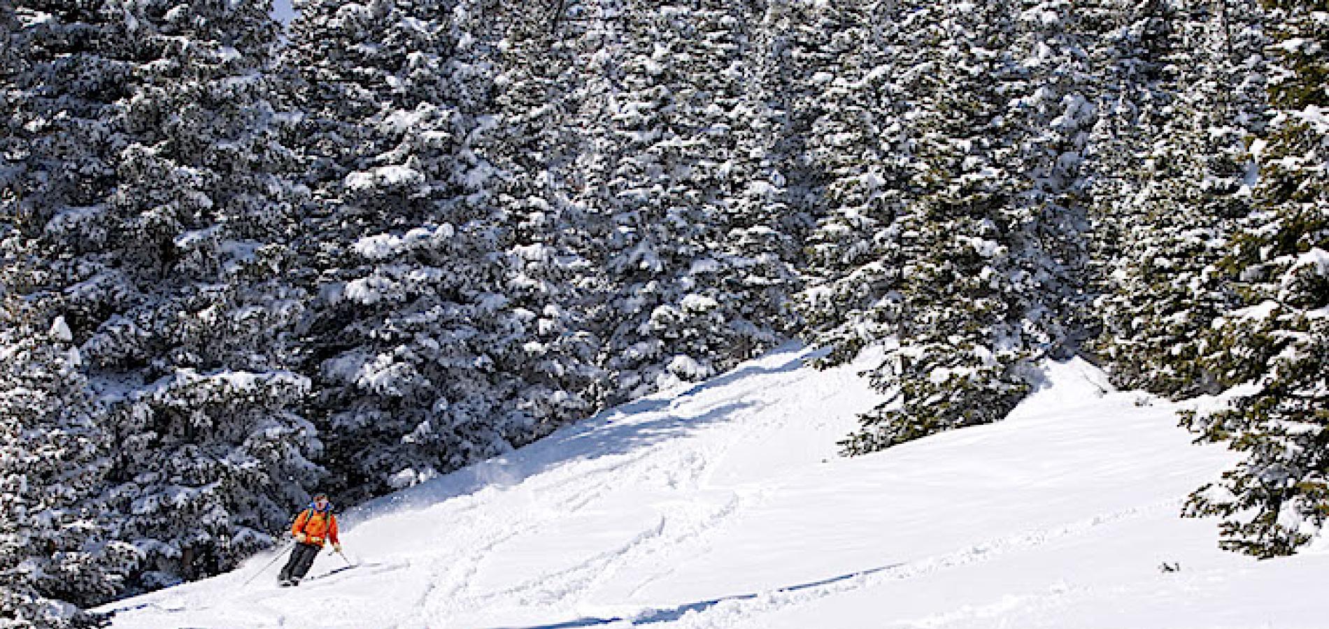 Skiing Hidden Valley in Rocky Mountain National Park/Joe Pyle