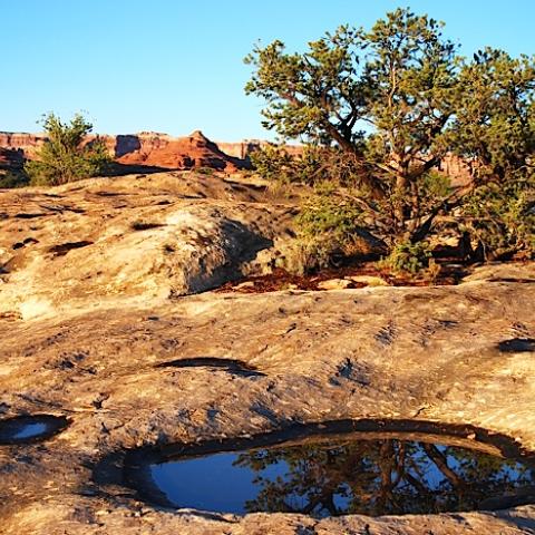 Potholes at Canyonlands National Park, copyright by Kurt Repanshek