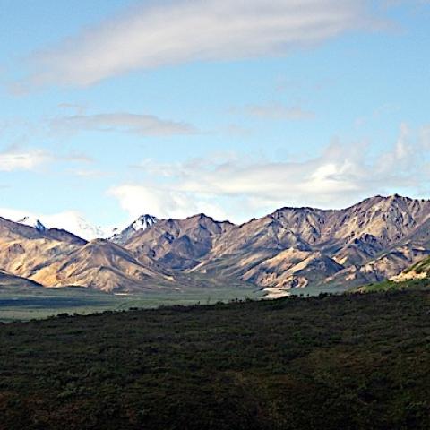 Tundra and mountains, Denali National Park. Copyright Carl Raboi