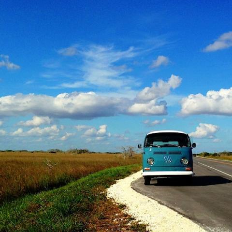 Everglades National Park, copyright Jesse Fields