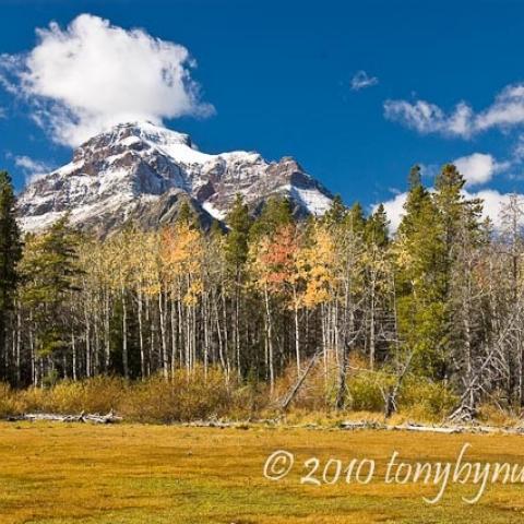 Glacier National Park, Two Medicine, copyright Tony Bynum