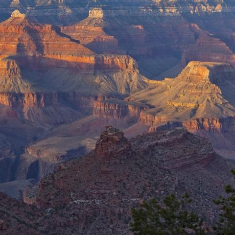 Golden Glow, Grand Canyon National Park, copyright Rebecca Latson