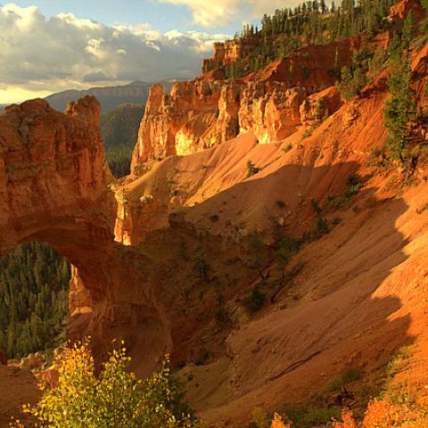 Sunrise at Bryce Canyon; Marion Littlefield photographer.