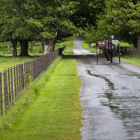 Killarney National Park, copyright Rebecca Latson