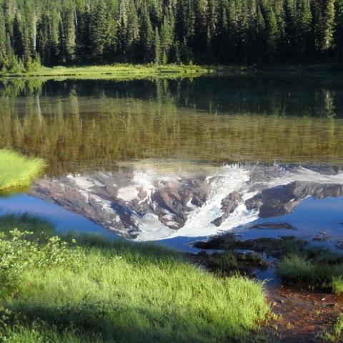 Mount Rainier National Park, copyright Gary Vogt