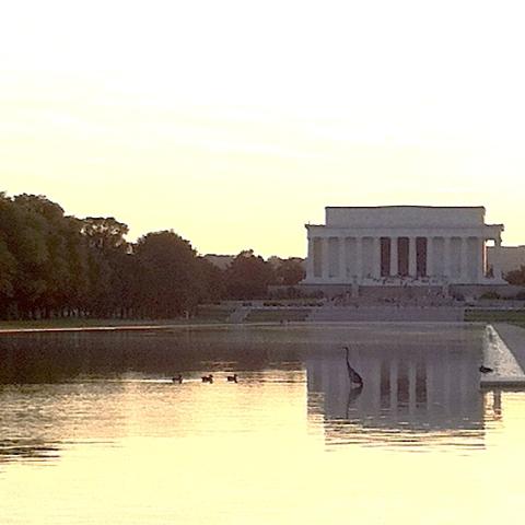 Heron in Reflecting Pool, copyright Stephen R. Brown