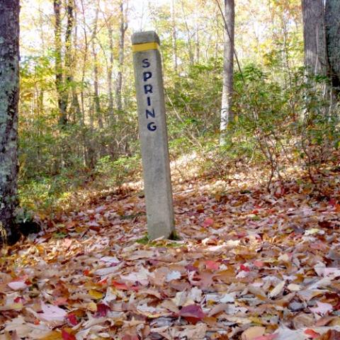 Spring marker, Pinefield Hut, AT, copyright Kurt Repanshek