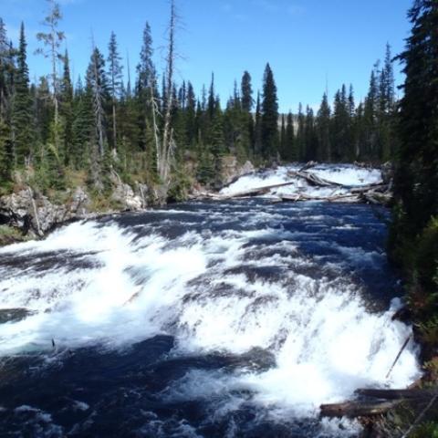 Cascades, Yellowstone National Park, Kurt Repanshek copyright