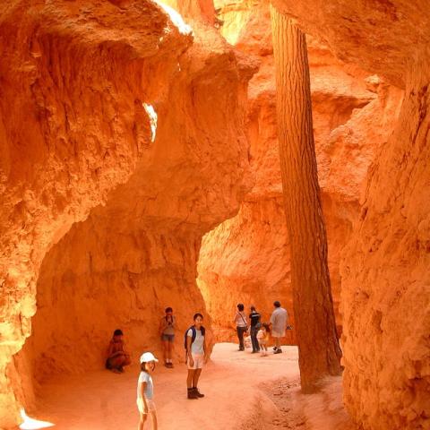 Wall Street Trail, Bryce Canyon. Brian Dunaway, photographer.