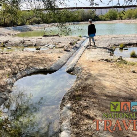 Quitobaquito Springs at Organ Pipe Cactus National Monument