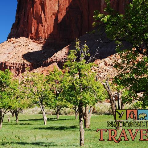 Capitol Reef's orchards, national park podcast, best national park podcast, national parks podcast, Fruita