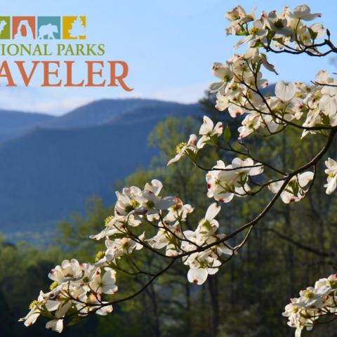 Chasing the Smokies Moon at Great Smoky Mountains National Park