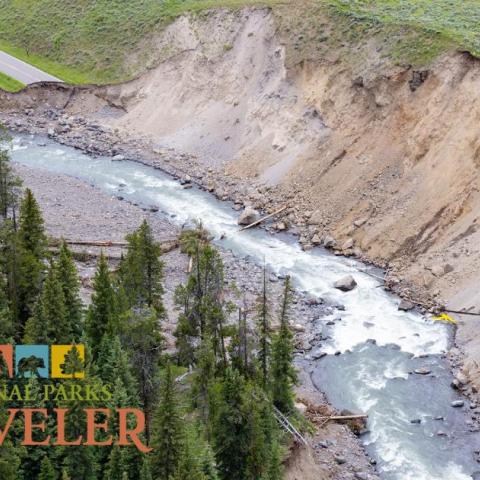 National Parks Traveler Podcast Episode 182: Recovering Yellowstone