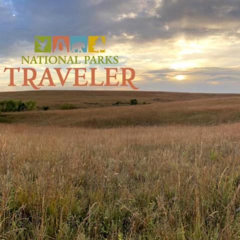 A visit with the bison herd at Tallgrass Prairie National Preserve/Lynn Riddick