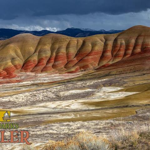 Image of Painted Hills