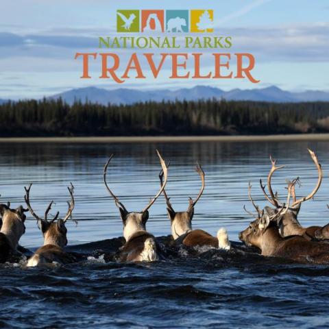 National Parks Traveler Podcast Episode 206 Image