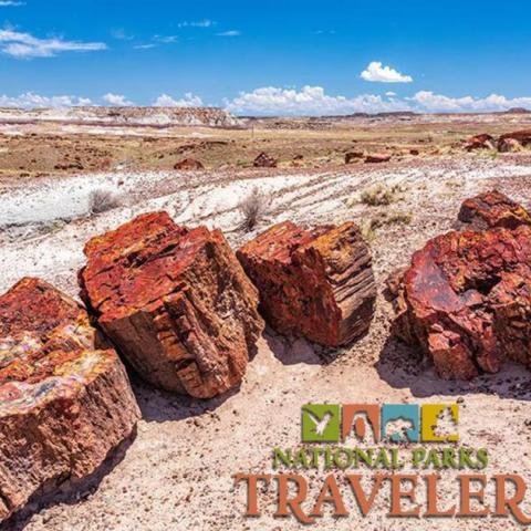 National Parks Traveler Podcast Episode 222 Image