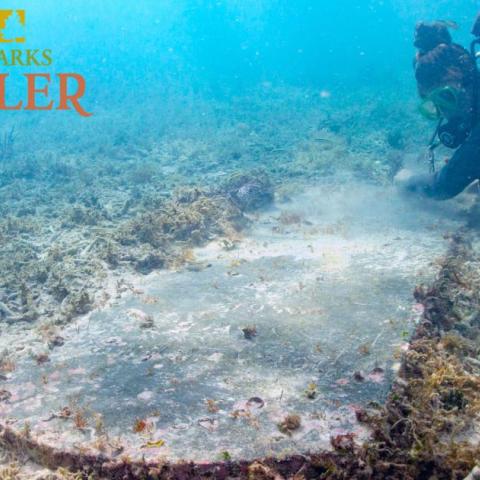 An image of a diver examining an underwater gravestone