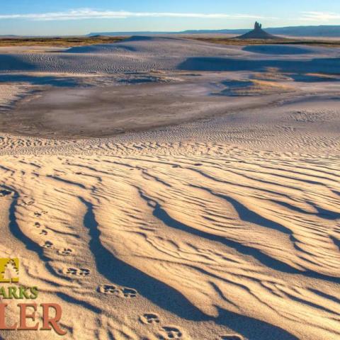 A wide-screen image of a desert, with animal tracks in the sand